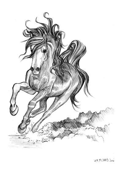 A realistic horse drawing by Jasu.