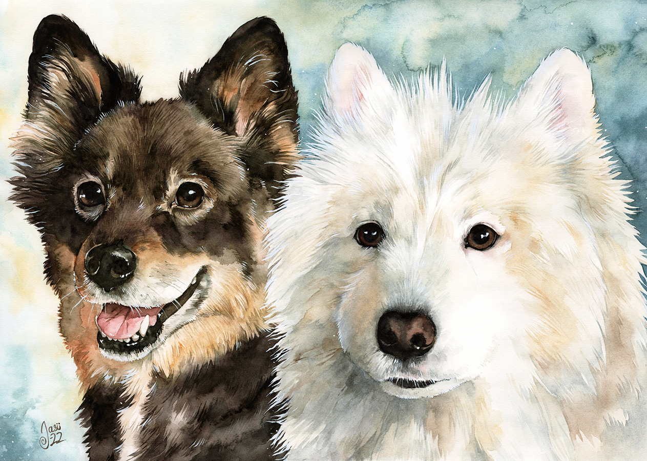 Print - Finnish Lapphund and Samoyed