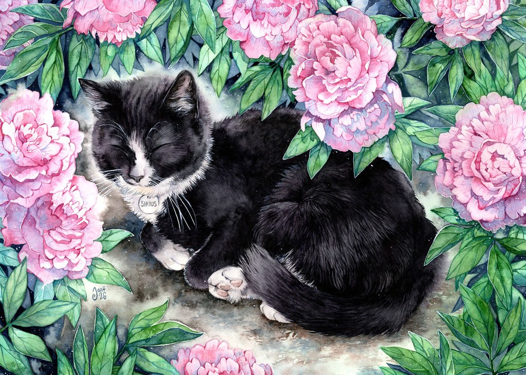 Print - Nap Under the Peonies