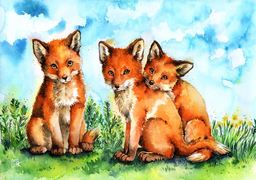 Print - Fox Pups