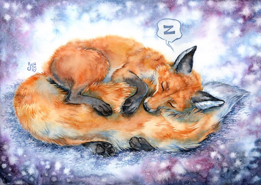 Print - Sweet Dreams