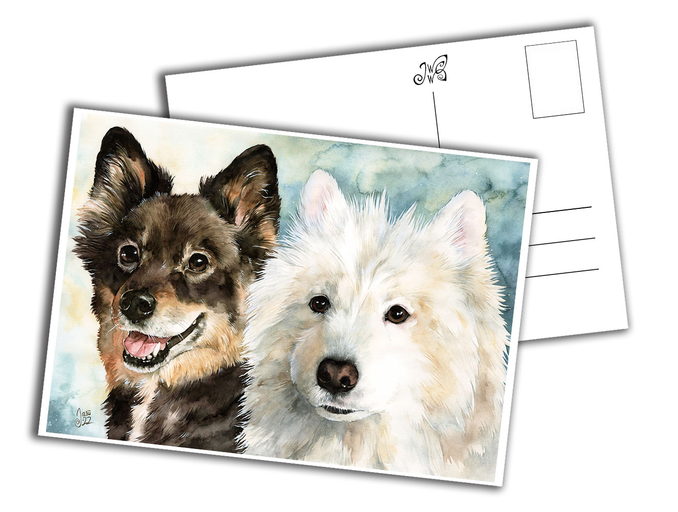 Card - Finnish Lapphund and Samoyed
