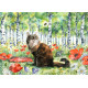 Print - Cat on a Flower-Filled Forest Clearing