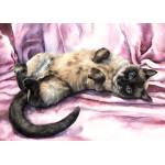 Print - The Purrfect Pose