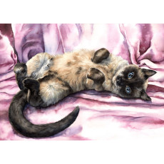 Print - The Purrfect Pose