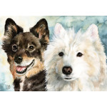 Print - Finnish Lapphund and Samoyed