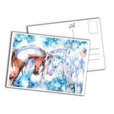 Card - Connection